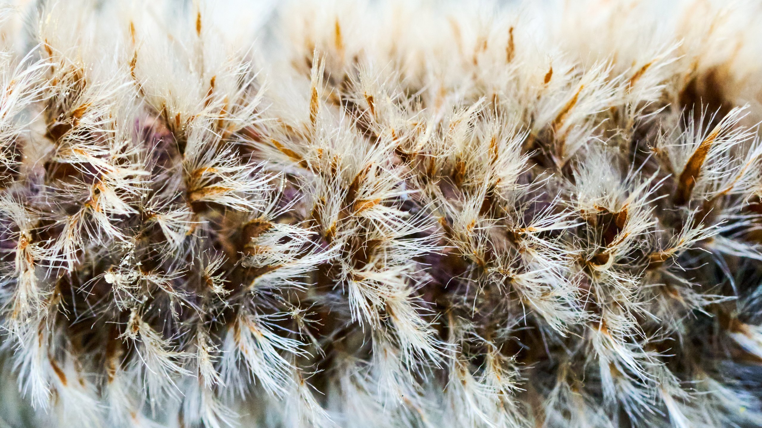 2026 03 07 Landschaftspark Nord 0396